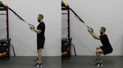 TRX 1b